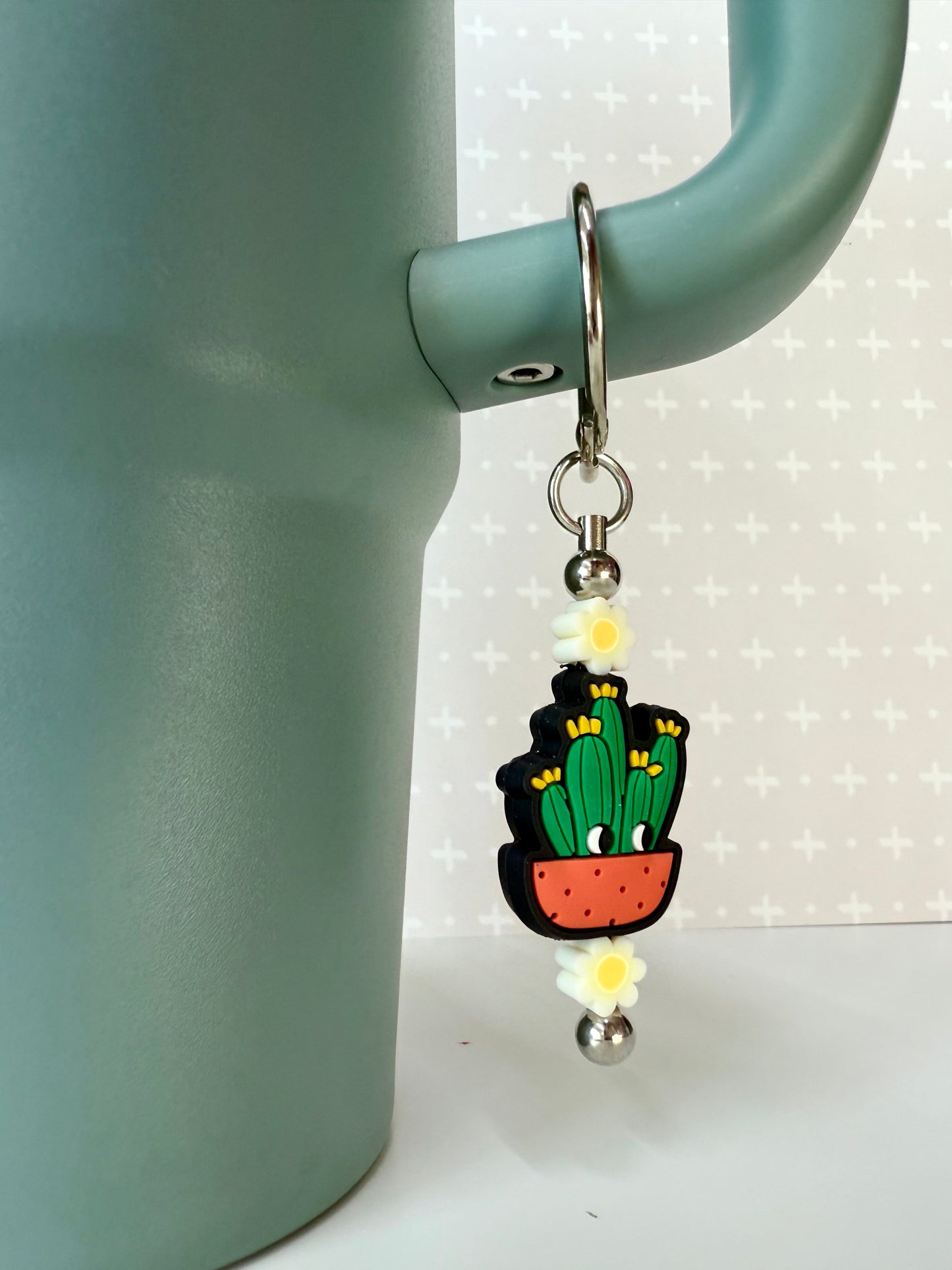 Cactus Tumbler Accessories