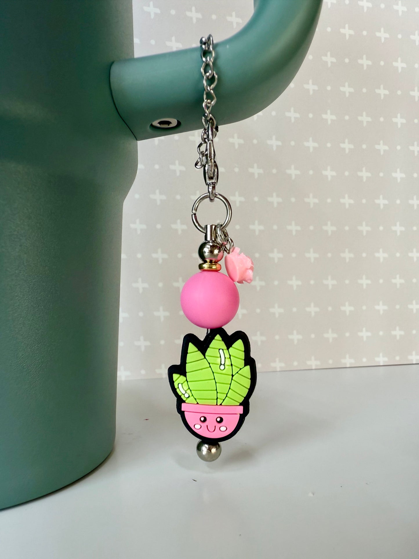 Cactus Tumbler Accessories