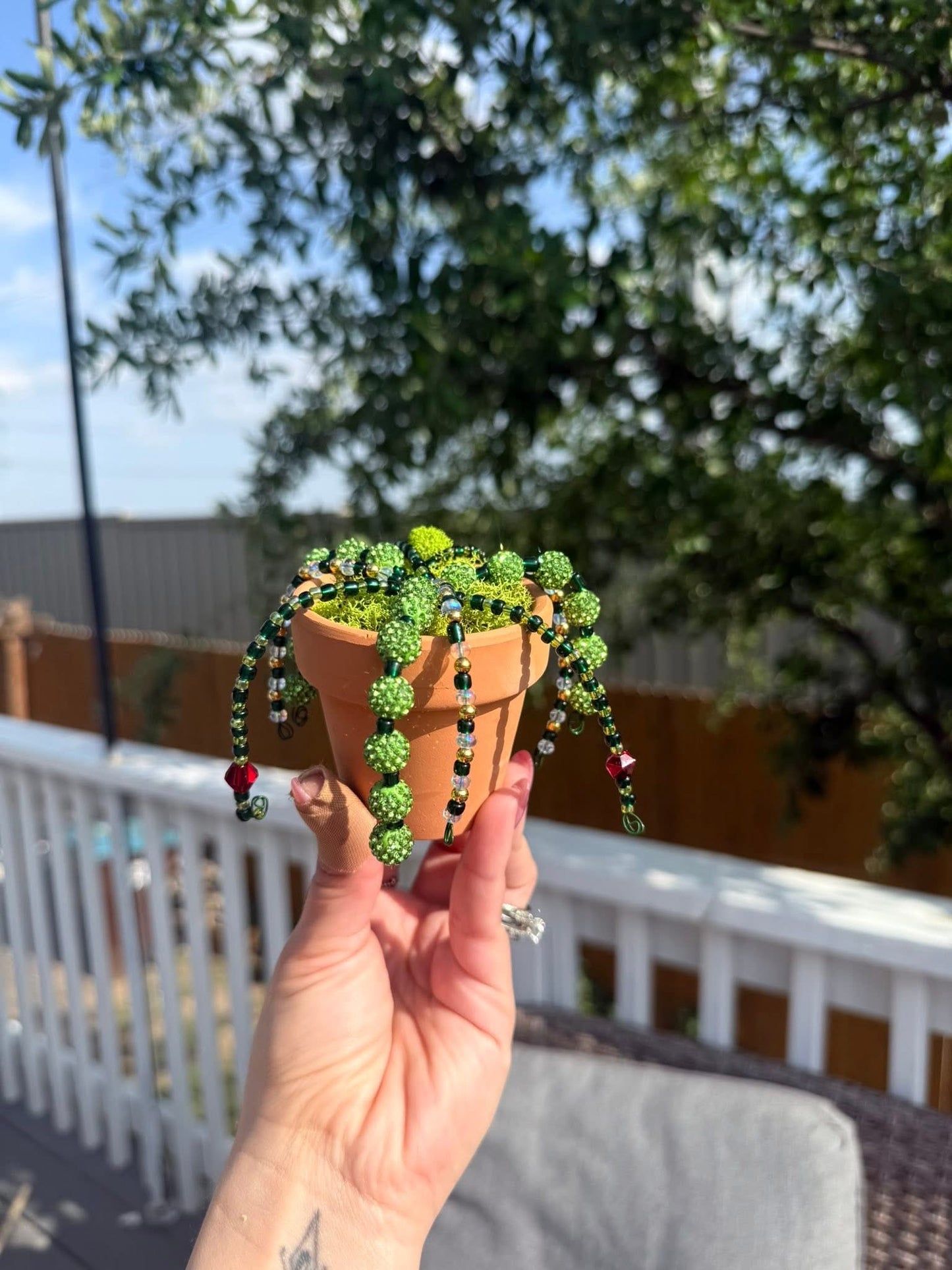 🌿✨ Beaded Plants – Zero Water, All the WOW!