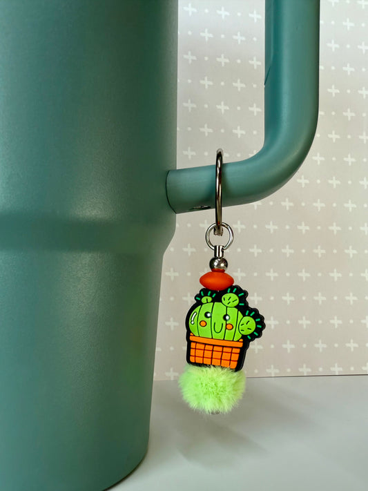 Cactus Tumbler Accessories