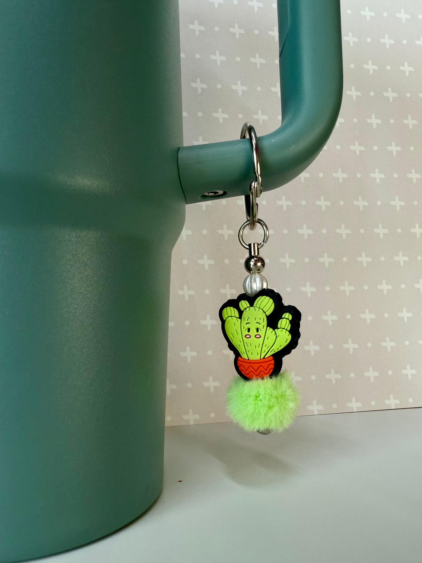 Cactus Tumbler Accessories
